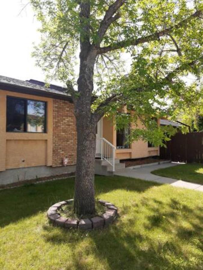 Cozy Home With Comfortable Beds And Fully Equipped Kitchen 15 Mins Drive From Airport, Downtown, Sait And U Of C And 80 Min Drive To Banff YYC Esterno foto